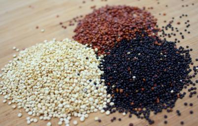 quinoa-seeds-red-white-black-3daf3c84451522d05b877a314dc756f6.jpg
